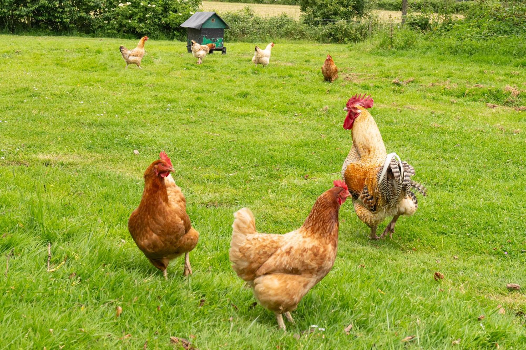 Hébergement de vacances Le Jardin D'eden